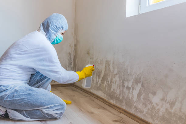 Mold Remediation specialist working in Matawan