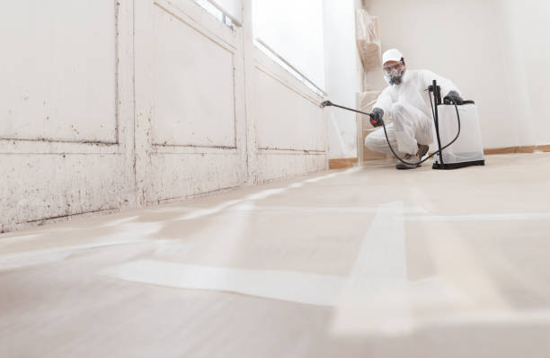 Black mold remediation team in Matawan