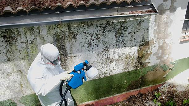 Mold Removal service in Matawan